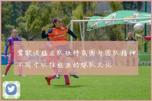 莺歌谈猛龙队独特氛围与团队精神不同于以往经历的球队文化