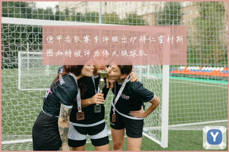 德甲各队赛季评级出炉拜仁霍村斯图加特被评为伟大级球队